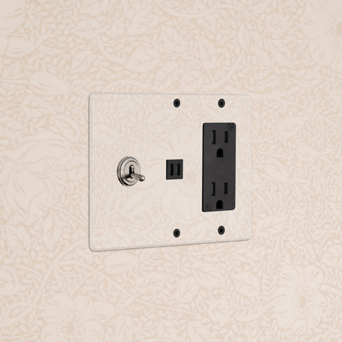Kew 3G Toggle Switch, Outlet, and Fast Charge USB in Clear Polished Nickel Black on beige floral wallpaper.