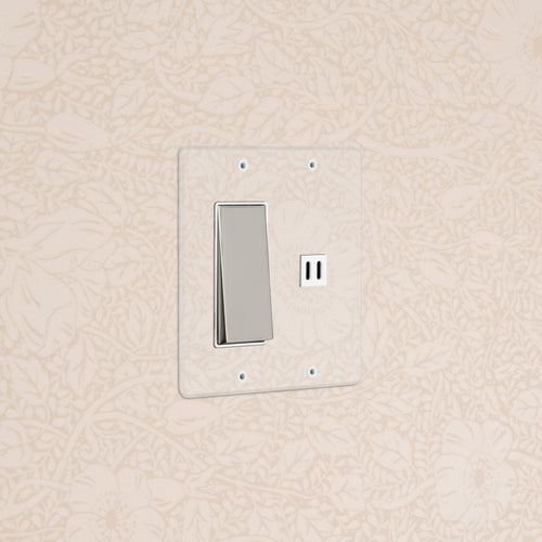 Kew 2G Rocker Switch & Fast Charge USB in clear polished nickel and white, mounted on a floral wall.
