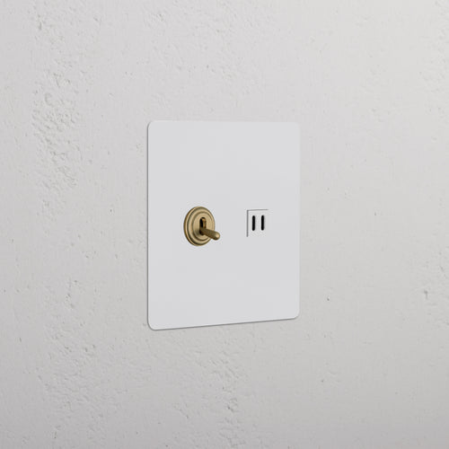 Kew 2G Toggle Switch & Fast Charge USB in paintable antique brass white with brass toggles and dual USB ports.