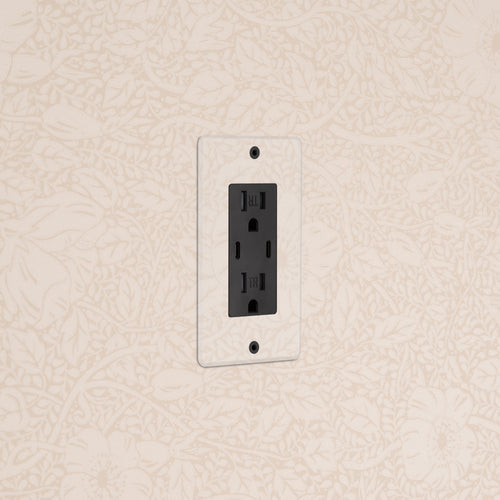 Clear Black Kew 1G 15A USB Outlet with two USB ports, installed on a wall with floral-patterned wallpaper.