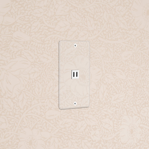 Kew 1G Fast Charge 45W USB Keystone in clear white, a single-gang USB wall outlet cover plate.
