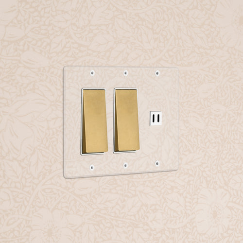 Kew 3G 2x Rocker Switch & Fast Charge USB in clear antique brass and white on a floral wallpapered wall.