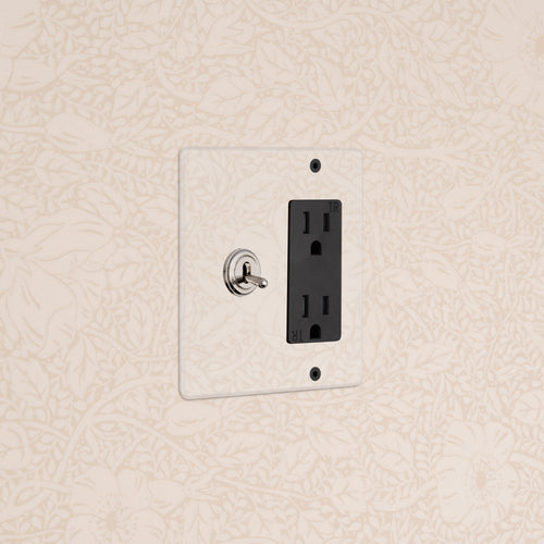 Kew 2G Toggle Switch & Outlet in Clear Polished Nickel Black on beige floral wallpaper; toggle and outlet visible.