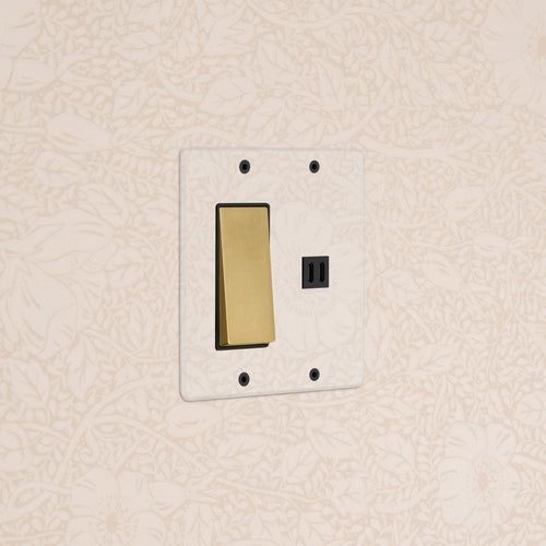 Kew 2G Rocker Switch & Fast Charge USB in Clear Antique Brass Black finish, mounted on a beige floral wall.