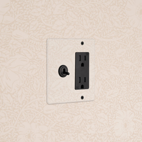 Kew 2G Toggle Switch & Outlet in Clear Bronze Black finish with two black toggle switches and outlet.