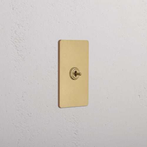 Grove 1G Center Retractive Toggle Switch in Antique Brass with a rectangular plate on a white wall.