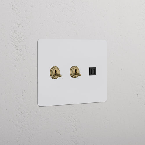 Kew 3G 2x Toggle Switch & Fast Charge USB in paintable antique brass black finish, wall-mounted plate.