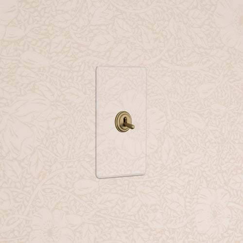 Kew 1G Retractive Toggle Switch in Clear Antique Brass, mounted on wall with clear rectangular cover.