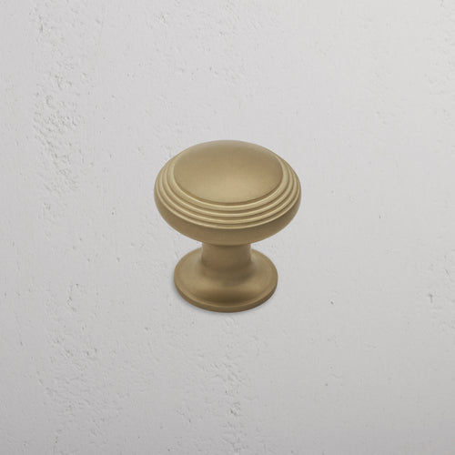 Medium-sized Barlow Furniture Knob in antique brass with concentric ring design, mounted on a white wall.