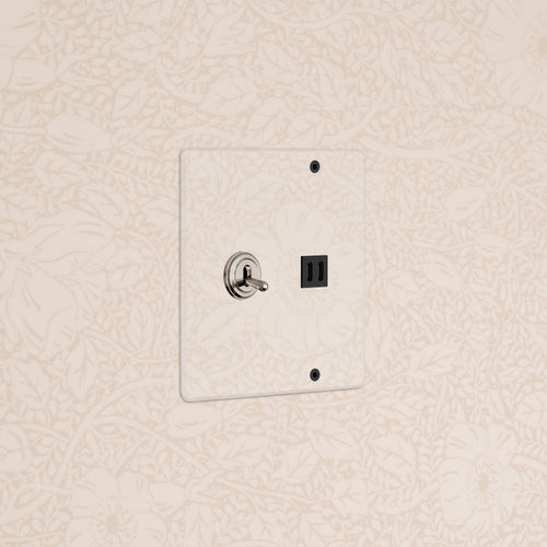 Kew 2G Toggle Switch & Fast Charge USB in Clear Polished Nickel Black on clear plate, shown on floral wall.
