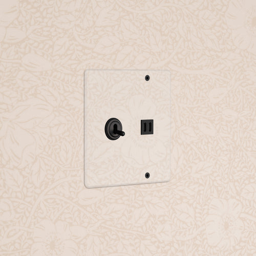 Kew 2G Toggle Switch & Fast Charge USB in Clear Bronze Black, mounted on light floral wallpaper.