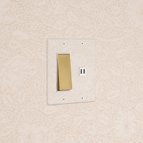 Kew 2G Rocker Switch & Fast Charge USB in Clear Antique Brass White mounted on a beige floral wallpapered wall.
