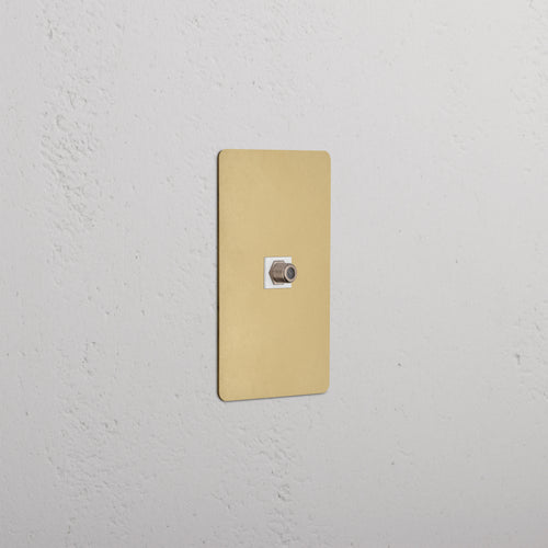 Kew 1G Satellite Keystone in Antique Brass White finish, single-gang plate with satellite connector.