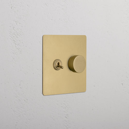 Kew 2G Toggle & Dimmer Switch in Antique Brass, featuring toggle and dimmer controls on a brass plate.