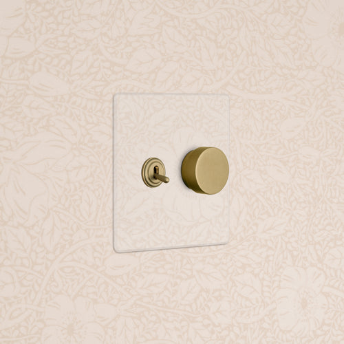 Kew 2G Toggle & Dimmer Switch in clear antique brass with brass toggle and dimmer knob on a clear plate.