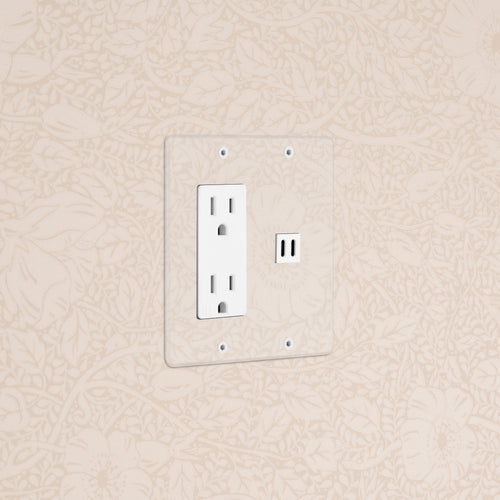 Kew 2G Outlet & Fast Charge USB in clear white with two sockets, two USB ports, and clear faceplate.