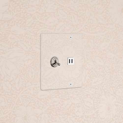 Kew 2G Toggle Switch & Fast Charge USB in clear polished nickel white finish, with dual toggles and USB port.