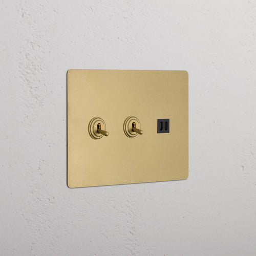 Kew 3G 2x Toggle Switch & Fast Charge USB - Antique Brass Black