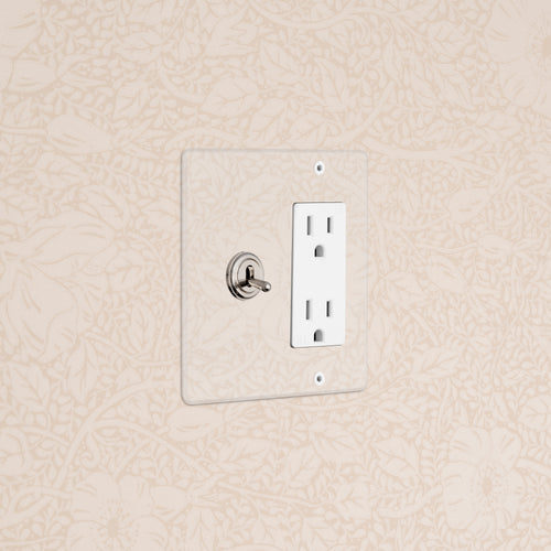 Kew 2G Toggle Switch & Outlet - Clear Polished Nickel White